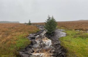 Pringle to raise issues around Donegal bog slippage in the Dáil