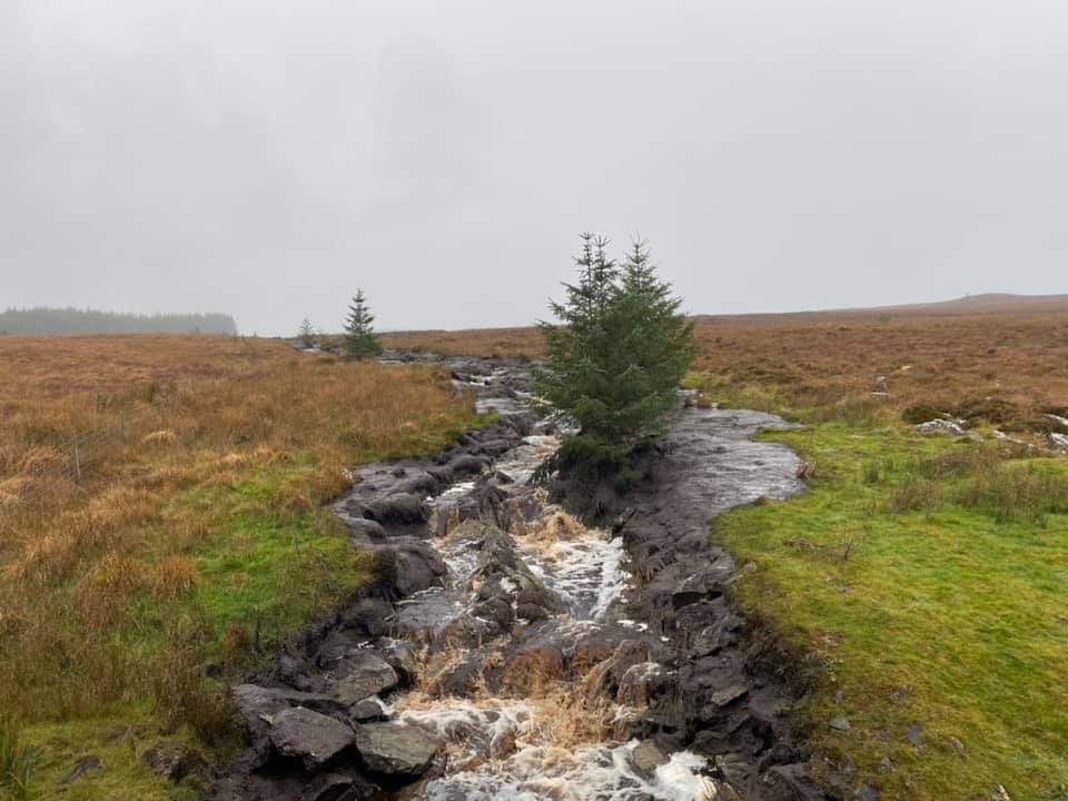 Pringle to raise issues around Donegal bog slippage in the Dáil