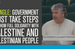 Pringle: Government must take steps to show full solidarity with Palestine and Palestinian people