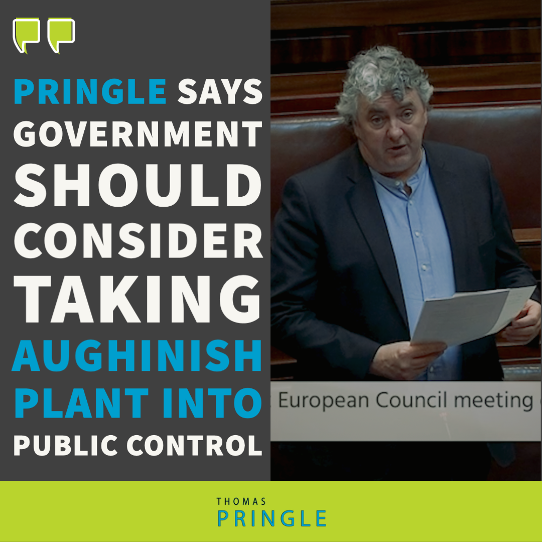 Pringle says Government should consider taking Aughinish plant into public control