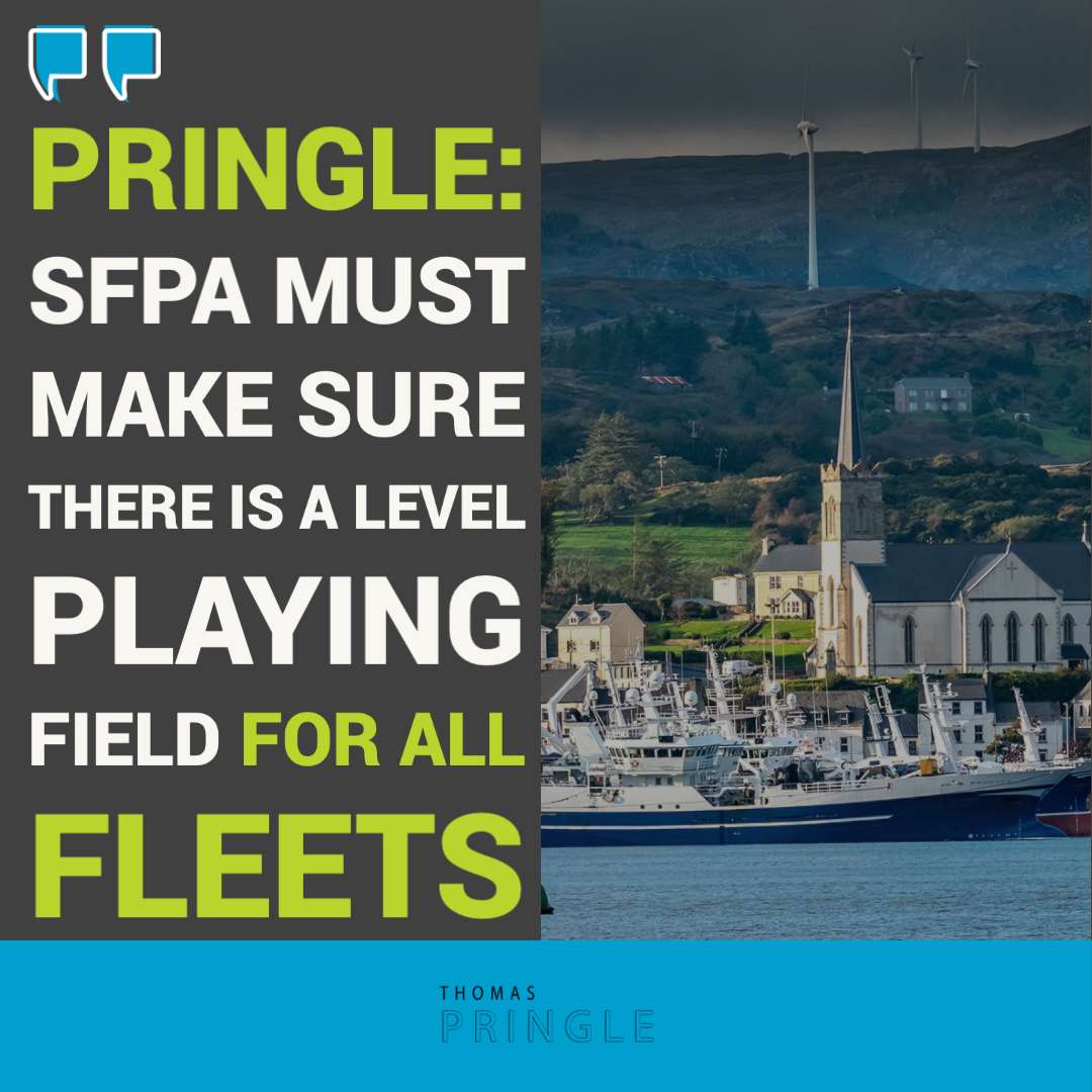 Pringle: SFPA must make sure there is a level playing field for all fleets