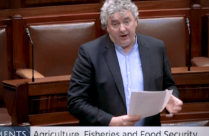 Pringle urges Minister McConalogue to stand up for fishing communities