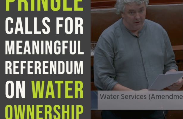 Pringle calls for meaningful referendum on water ownership