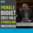 Pringle: Budget 2023 fails struggling households