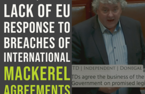 Pringle questions lack of EU response to breaches of international mackerel agreements