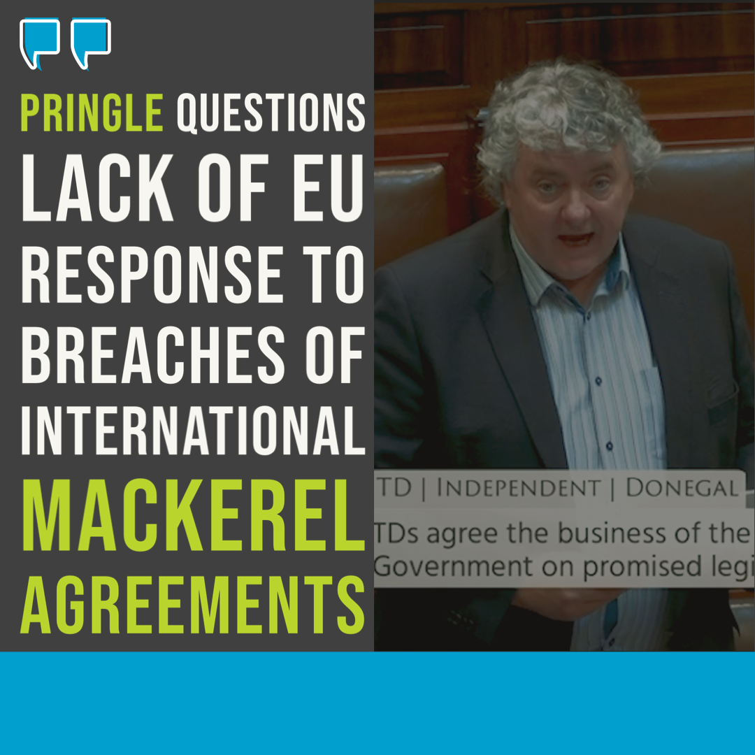 Pringle questions lack of EU response to breaches of international mackerel agreements