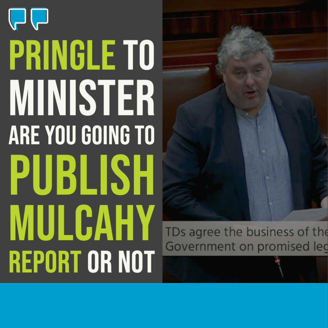 Pringle to Minister: Are you going to publish Mulcahy report or not?