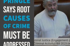 Pringle says root causes of crime must be addressed