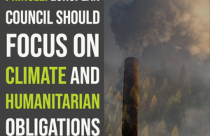 Pringle: European Council should focus on climate and humanitarian obligations
