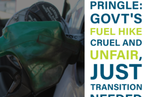 Thomas Pringle TD - Fuel Hike Cruel and Unfair, Just Transition Needed