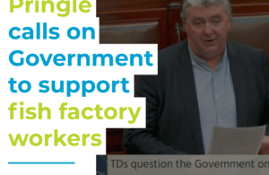 Pringle calls on Government to support fish factory workers