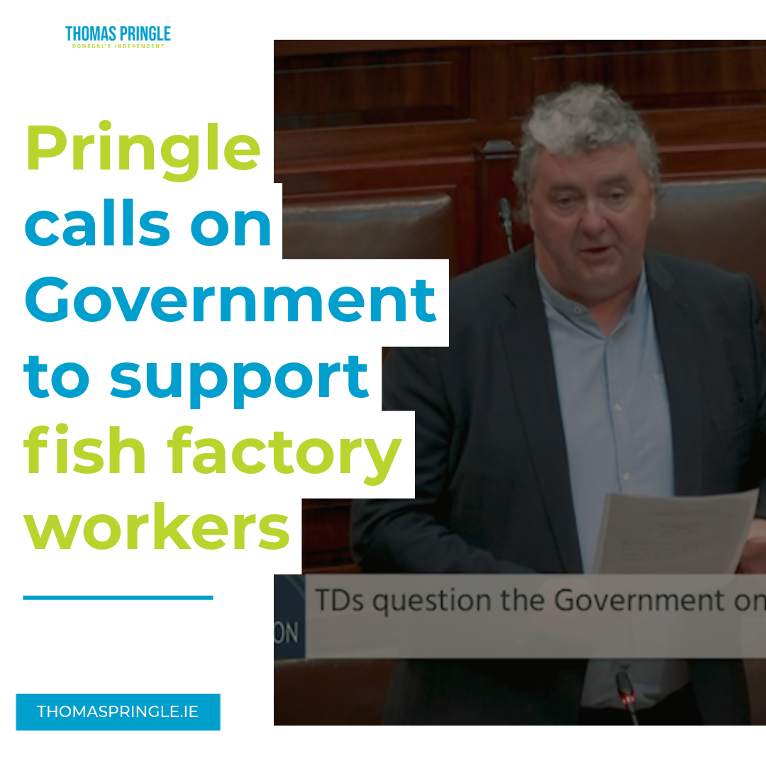 Pringle calls on Government to support fish factory workers