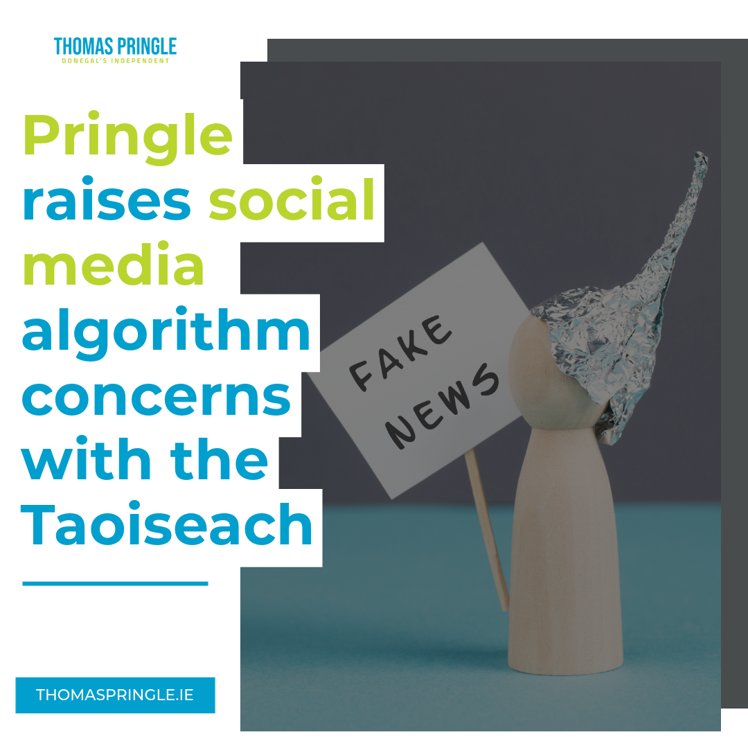 Pringle raises social media algorithm concerns with the Taoiseach
