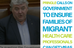 Pringle calls on Government to ensure families of migrant health care professionals can get visas