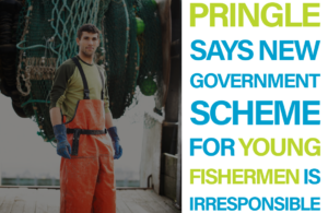 Pringle says new Government scheme for young fishermen is irresponsible