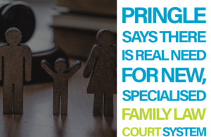 Pringle says there is real need for new, specialised family law court system