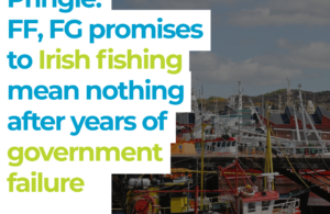 Thomas Pringle: FF, FG promises to Irish fishing mean nothing after years of government failure -GE24 - Killybegs - Donegal Fishing - GE2024 - #GE24 - Irish Fishing